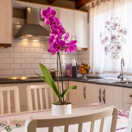Casa Quintana - Apartamento Carla Tijarafe Εξωτερικό φωτογραφία